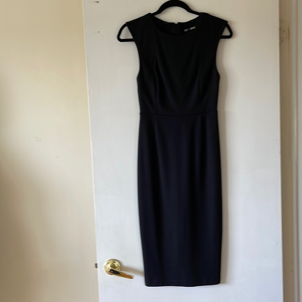 Express Knee Length Stretch Dress